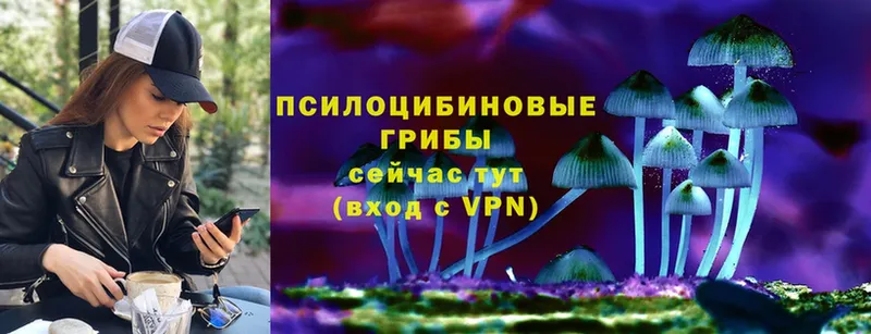 Галлюциногенные грибы MAGIC MUSHROOMS  магазин продажи   Артёмовск 